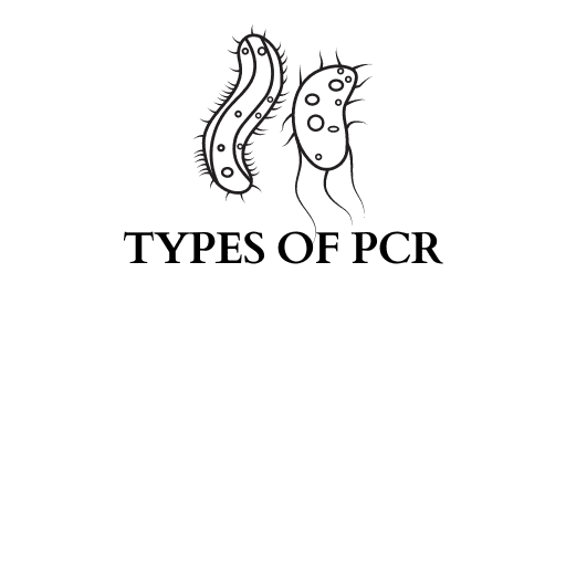 TYPES OF PCR